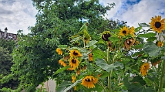 2023-07 France (Gillian)